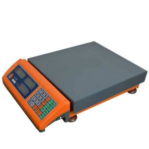 photo 2025 09 15 17 49 29 min 300x300 - ترازو چینی مدل بدون علمک کد 88 با ظرفیت 70 کیلوگرم